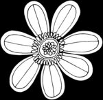 秘密花园