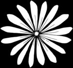 秘密花园