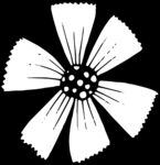 秘密花园
