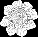 秘密花园
