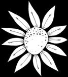 秘密花园