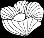 秘密花园