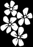 秘密花园