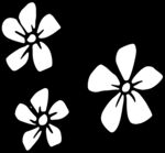秘密花园