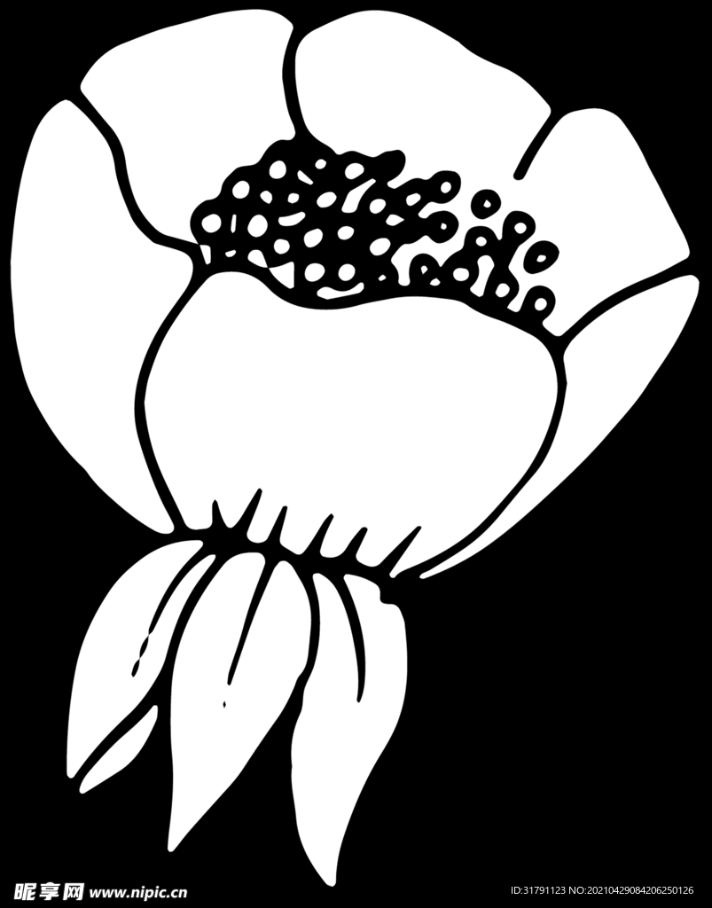 秘密花园