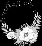 秘密花园