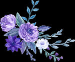 水彩花卉