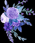水彩花卉