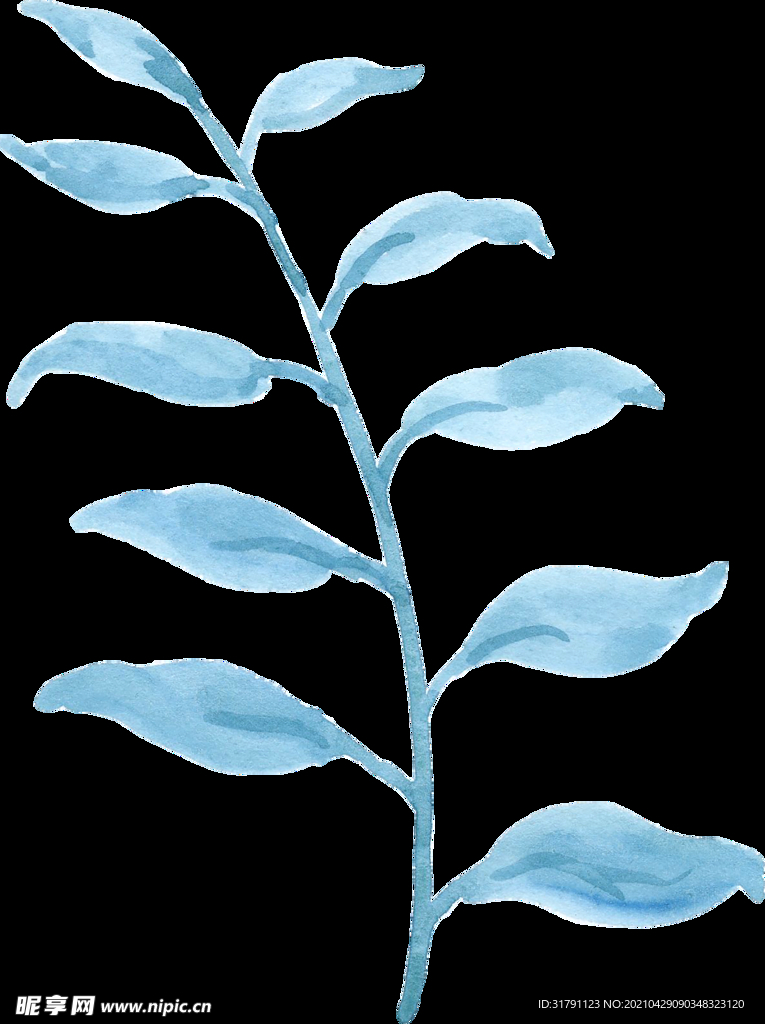 水彩植物