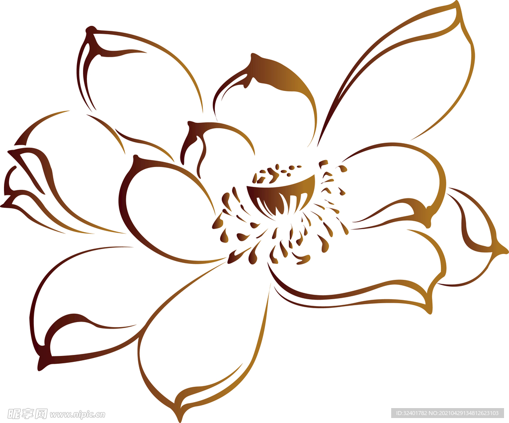 菊花矢量图