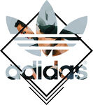 adidas 阿迪