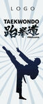 跆拳道