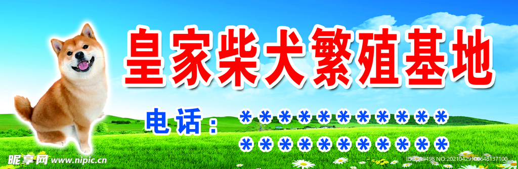 皇家柴犬繁殖基地