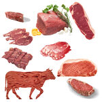 鲜肉