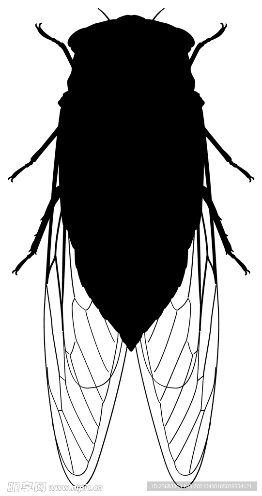 昆虫蝉矢量素材