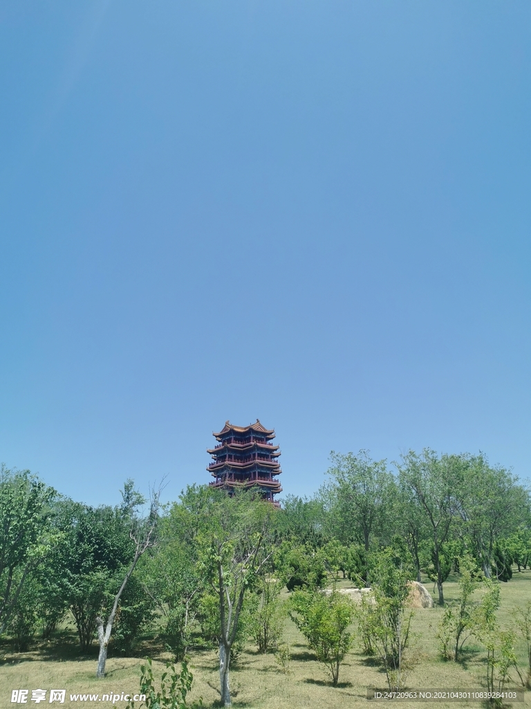 绿树古塔