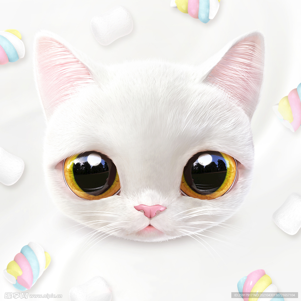 猫