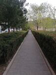 小路