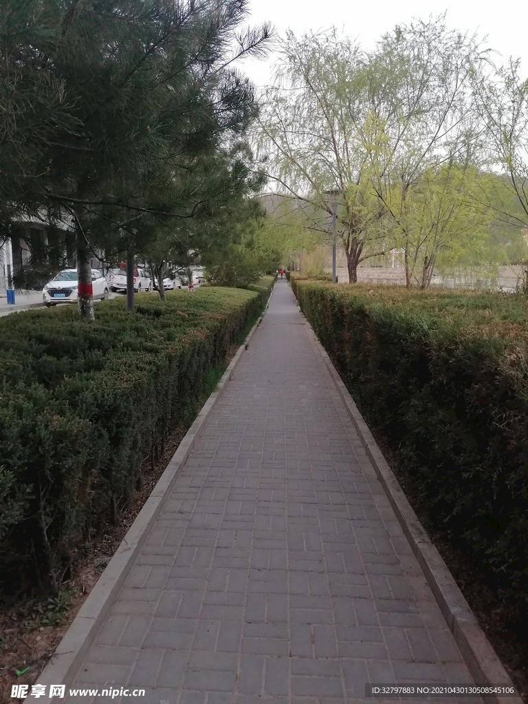 小路