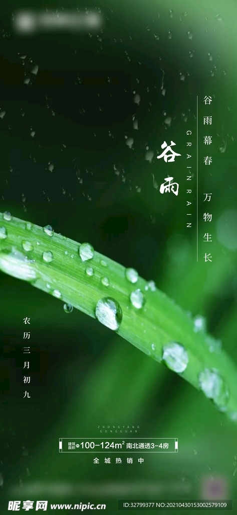 谷雨节气