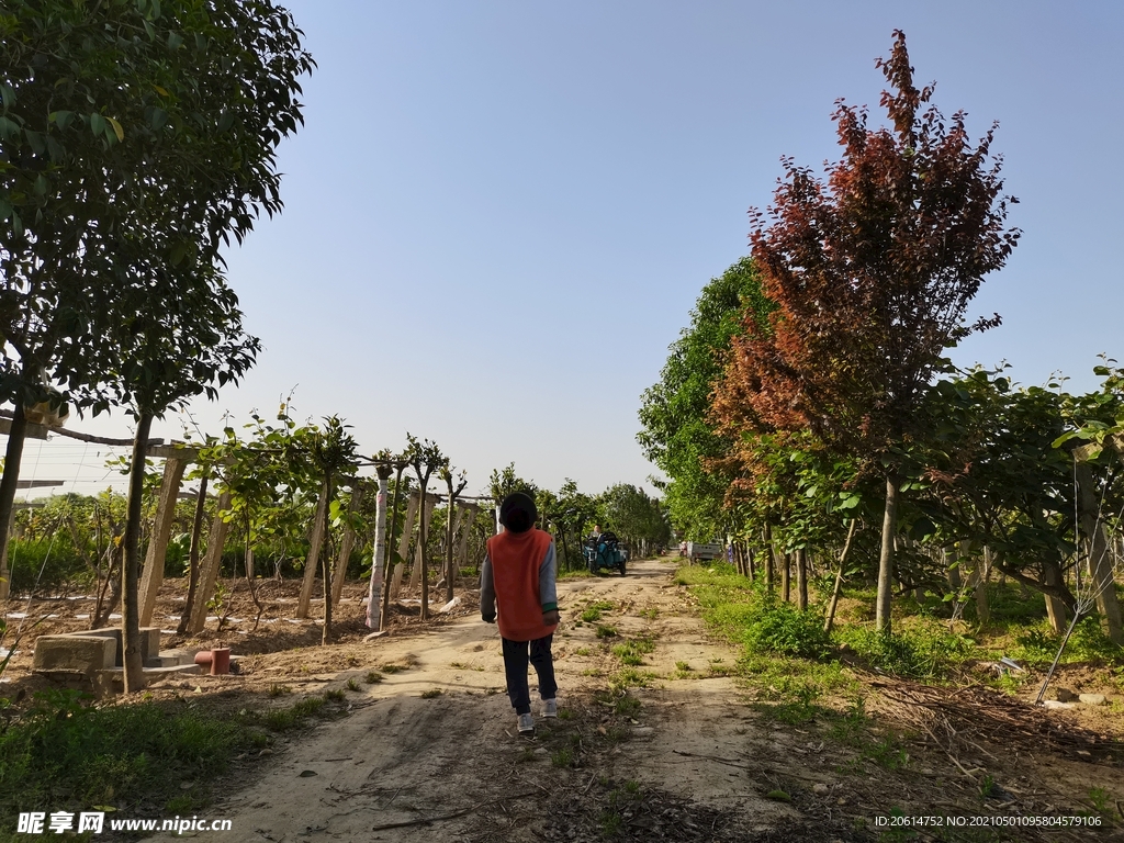 乡村道路风景