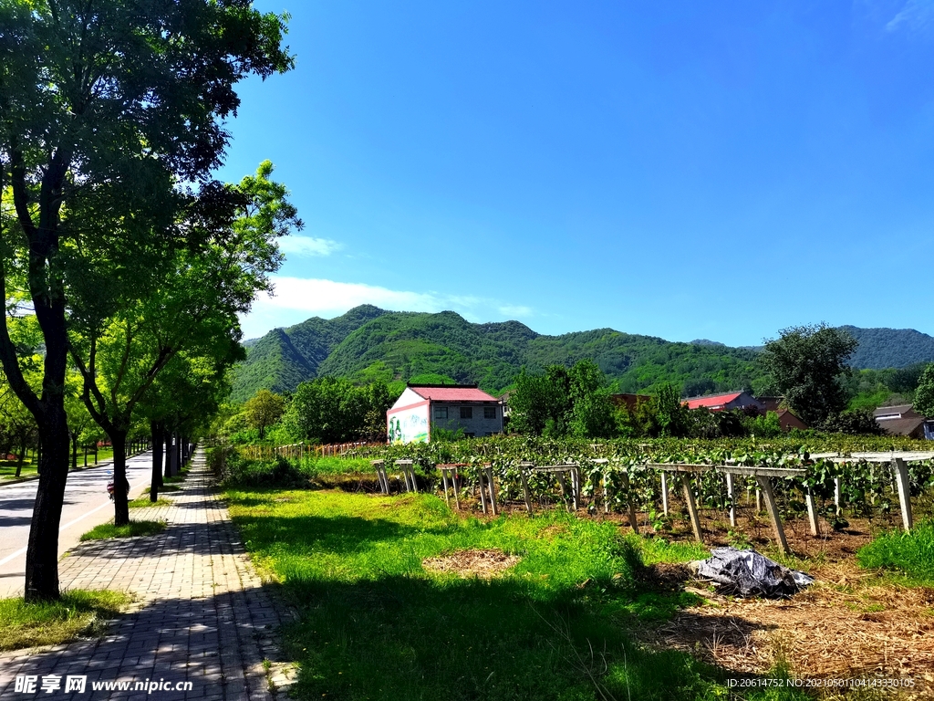 蓝天下的乡村风景