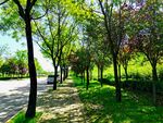 清爽的乡村道路风景