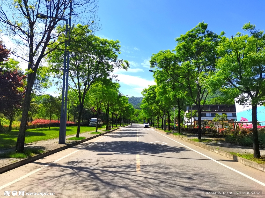 蓝天下的乡村道路风景