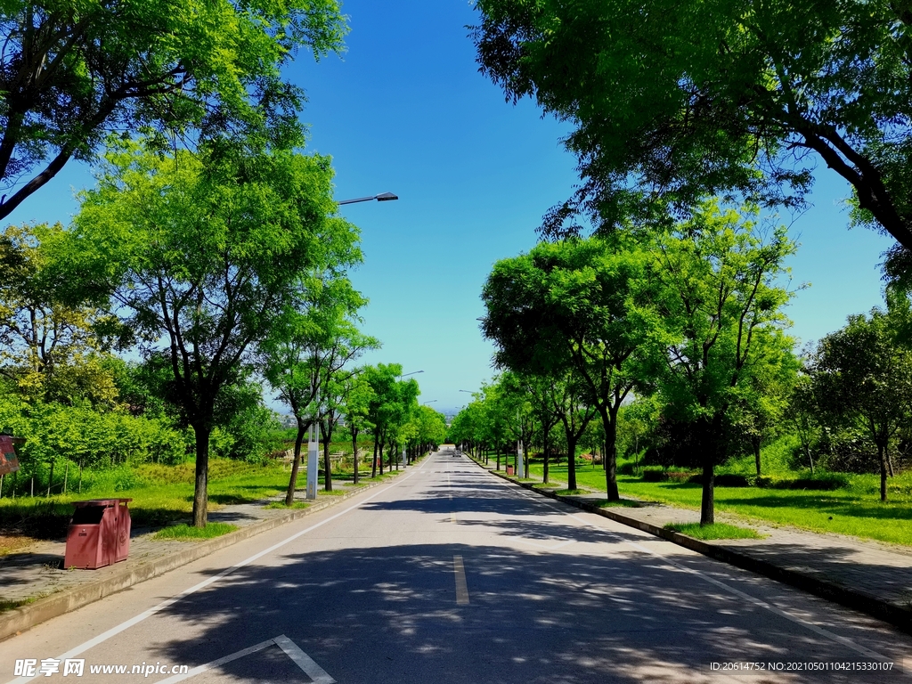 阴凉的乡村道路