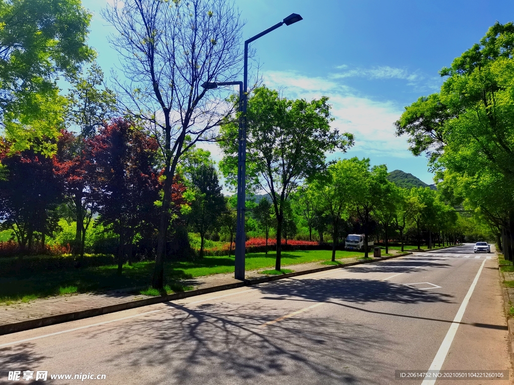 蓝天下的乡村道路风景