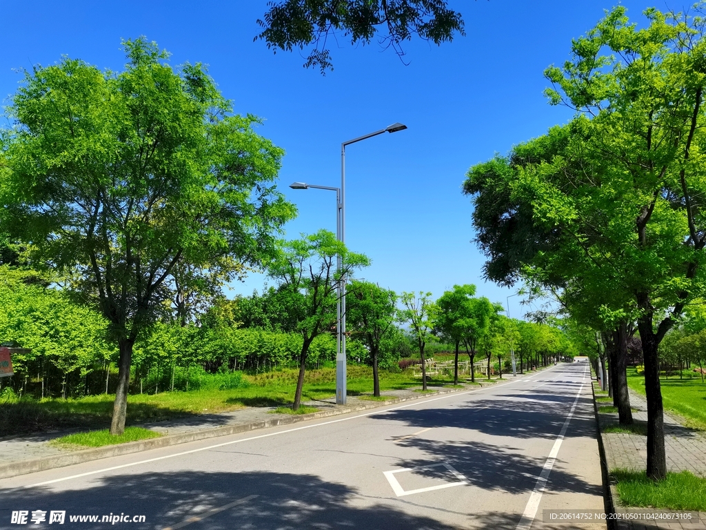 蓝天下的乡村道路风景