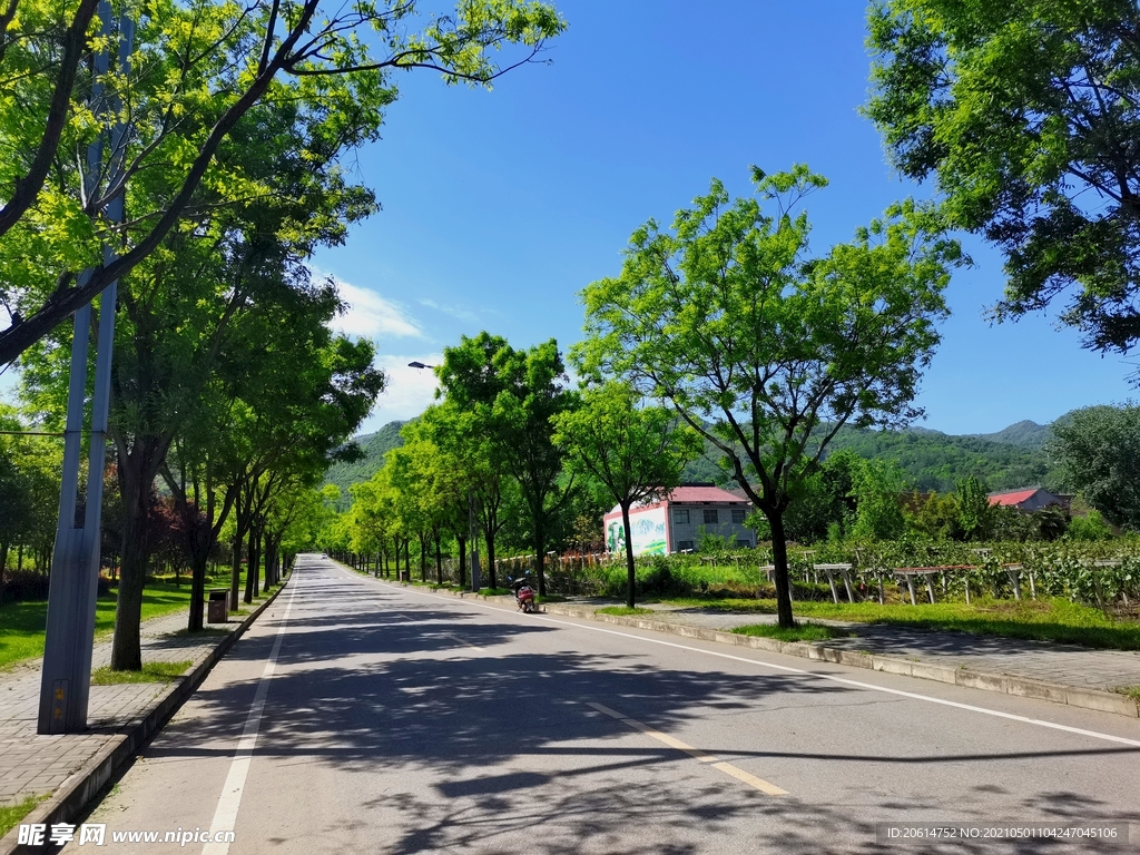 蓝天下的乡村道路风景