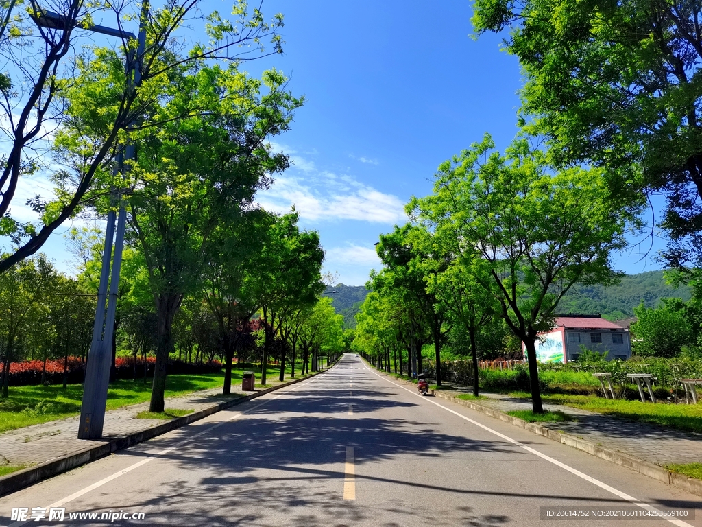 蓝天下的乡村道路风景