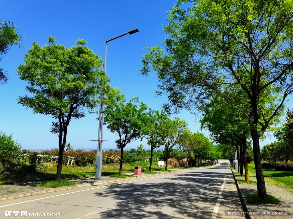 阴凉的乡村道路风景