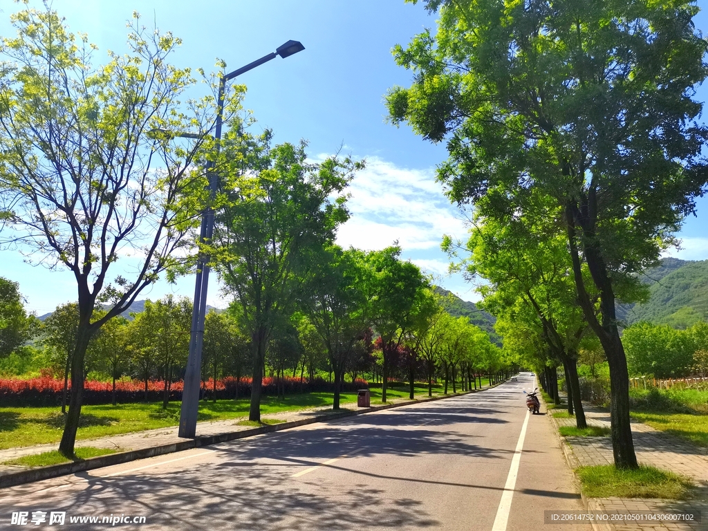 清爽的乡村道路风景