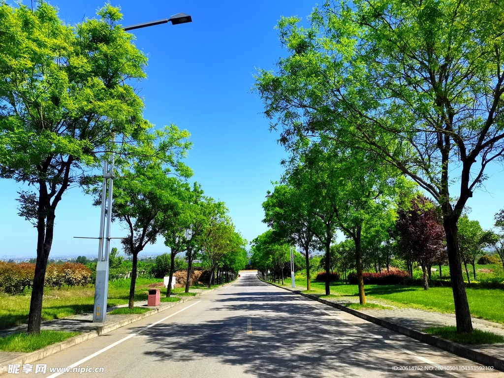 蓝天下的乡村道路风景