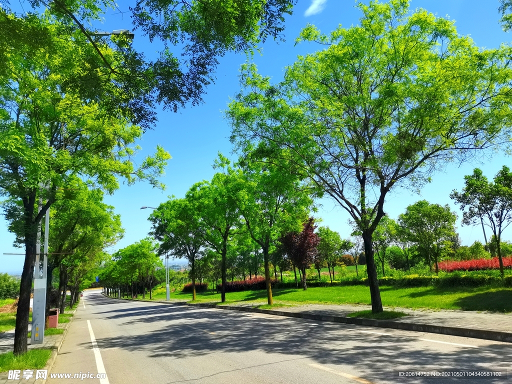 阴凉的乡村道路风景