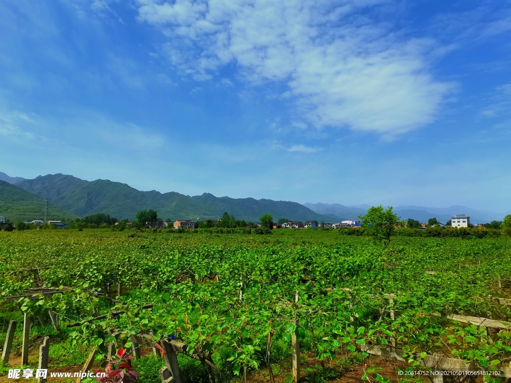 美丽的乡村风景