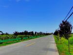 空荡荡的乡村道路