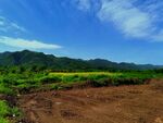 美丽的乡村风景