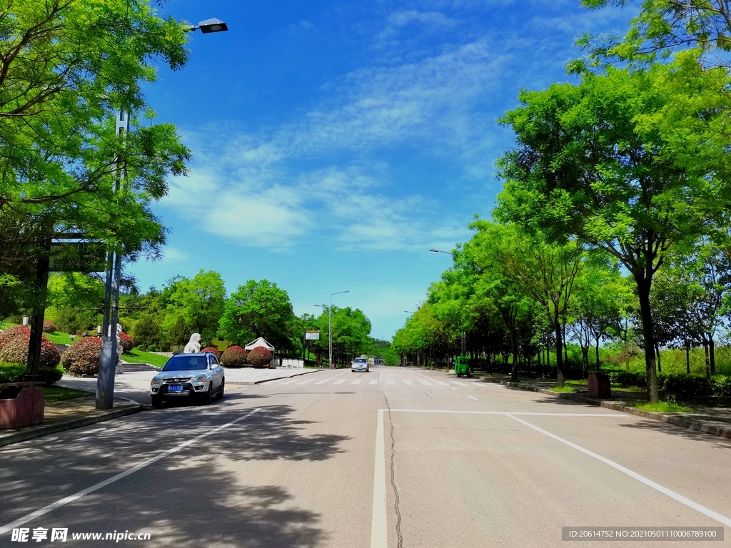 蓝天下的乡村道路风景