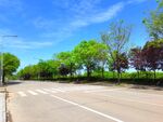 蓝天下的乡村道路风景