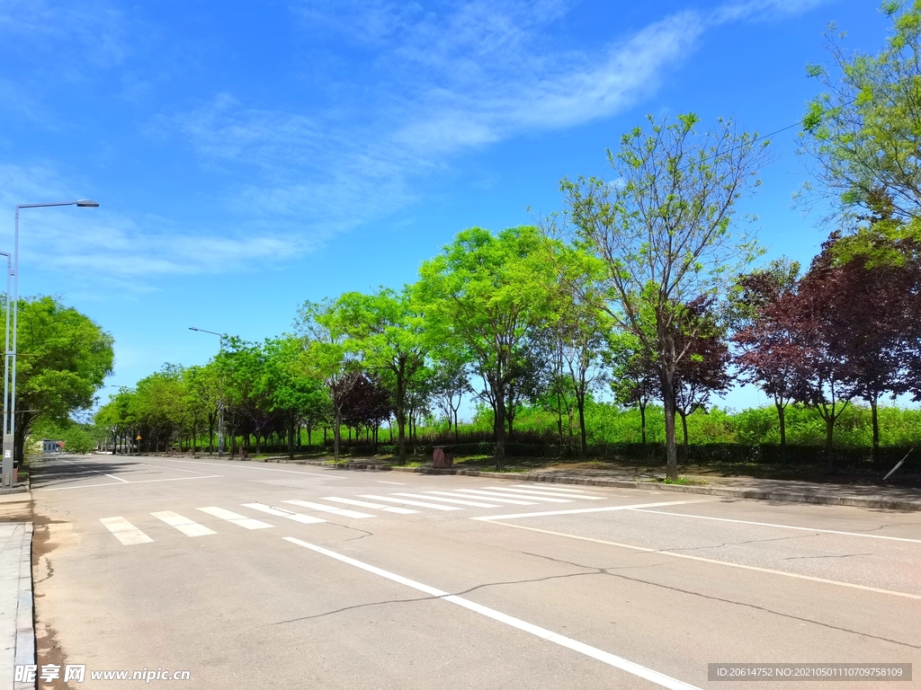 蓝天下的乡村道路风景