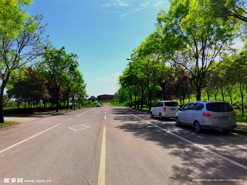 蓝天下的乡村道路风景