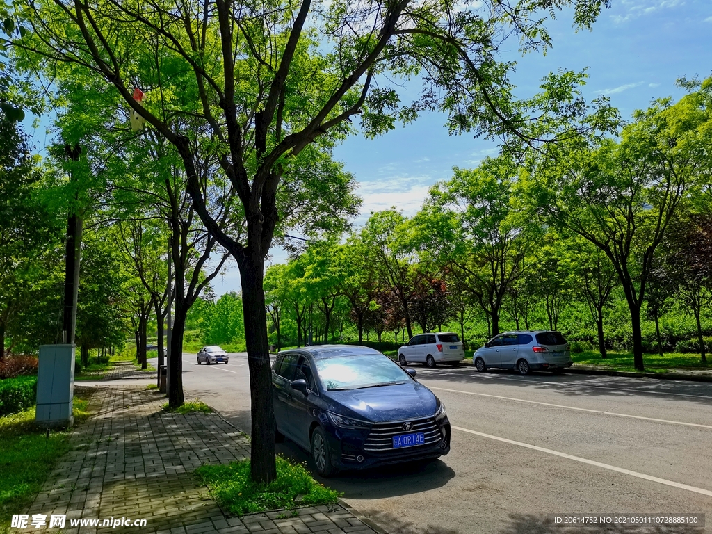 美丽的乡村道路风景