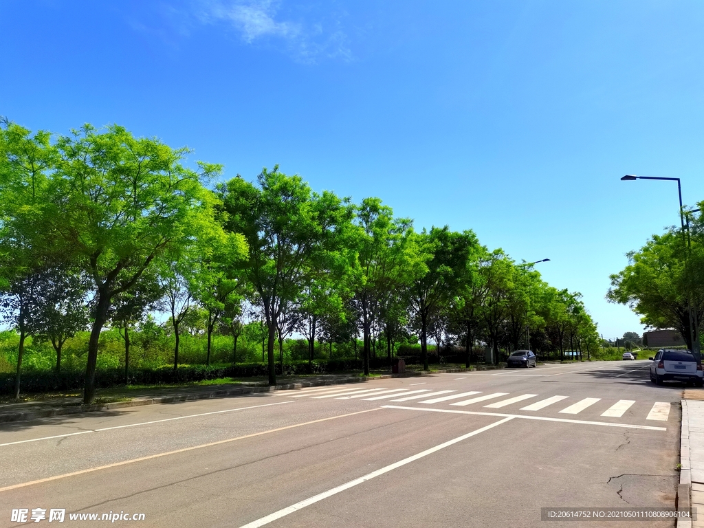 蓝天下的乡村道路美景