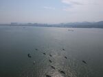 航拍鸟瞰水海水高光江面河面