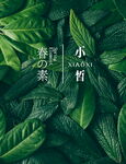 春素店面背景灯片