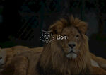 狮子图标设计