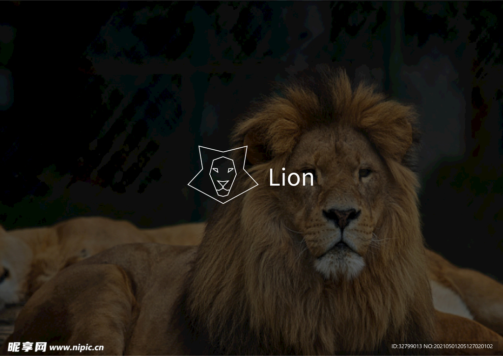 狮子图标设计